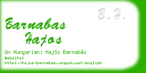 barnabas hajos business card